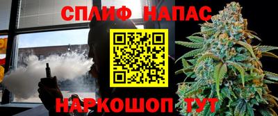 прущие грибы Тулун
