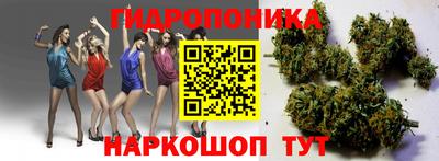 прущие грибы Тулун