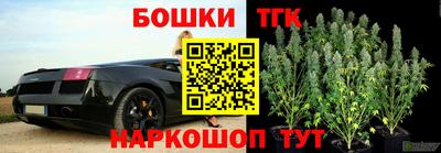прущие грибы Тулун